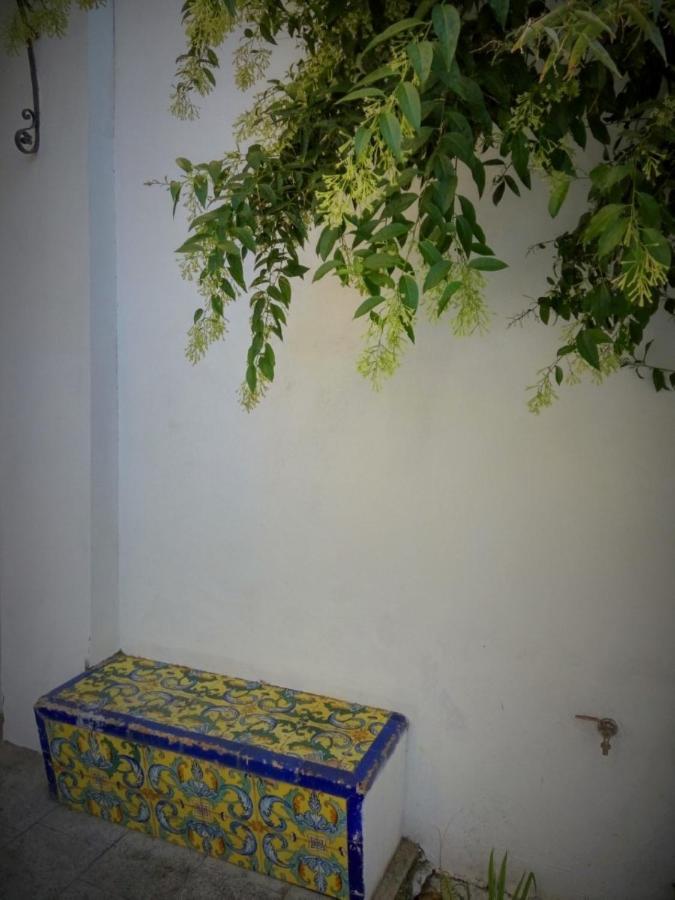 Apartment Alacas Sevilla Exterior photo